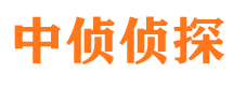 临港侦探公司